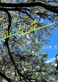 小梨花壁纸